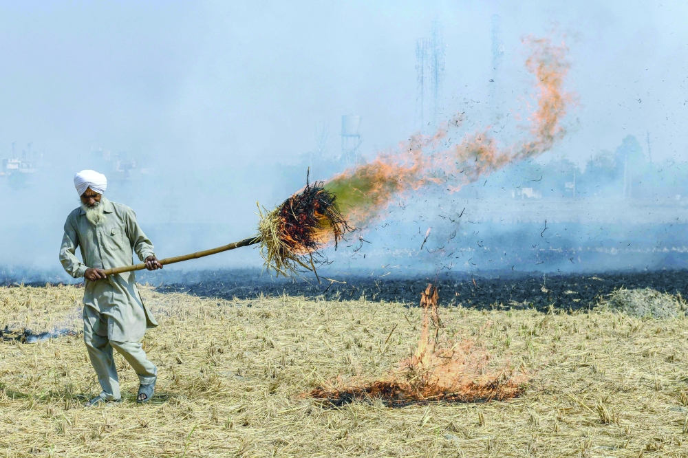 A farmer burns straw stubble after harvesting a paddy crop in a field on the outskirts  Amritsar on Monday. - AFP