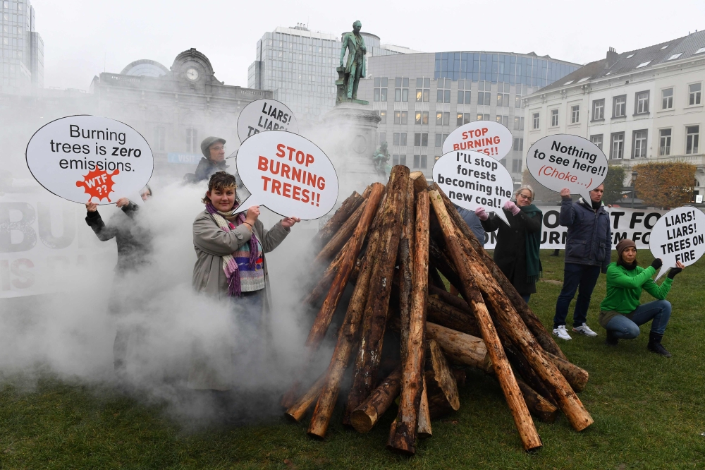 Environmental activists take part in a demonstration next to a stack of 30 wooden logs near the European Parliament building in Brussels. - AFP 