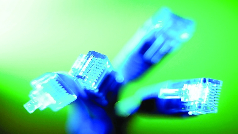 FILE PHOTO: Internet LAN cables are pictured in this photo illustration taken in Sydney