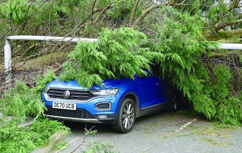 A car, crushed by a fallen tree and lamppost, is pictured in Birkenhead, north west England as 'Storm Arwen' triggered a rare 'red weather' warning. - AFP 