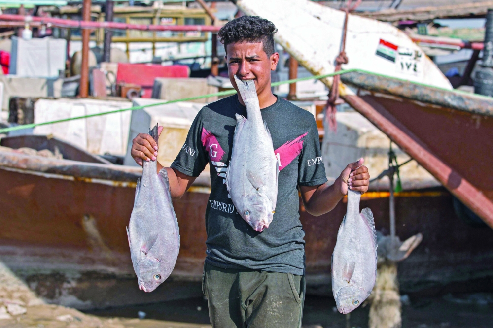 An Iraqi youth carries freshly-caught fish in the southern Iraqi port city of Al Faw, 90 kilometers south of Basra. - AFP
