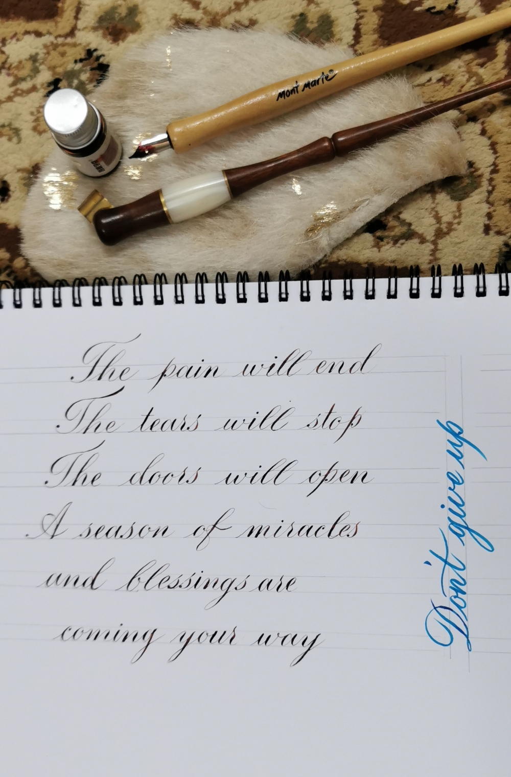 IMG_20210813_150643_edit_336783026316317