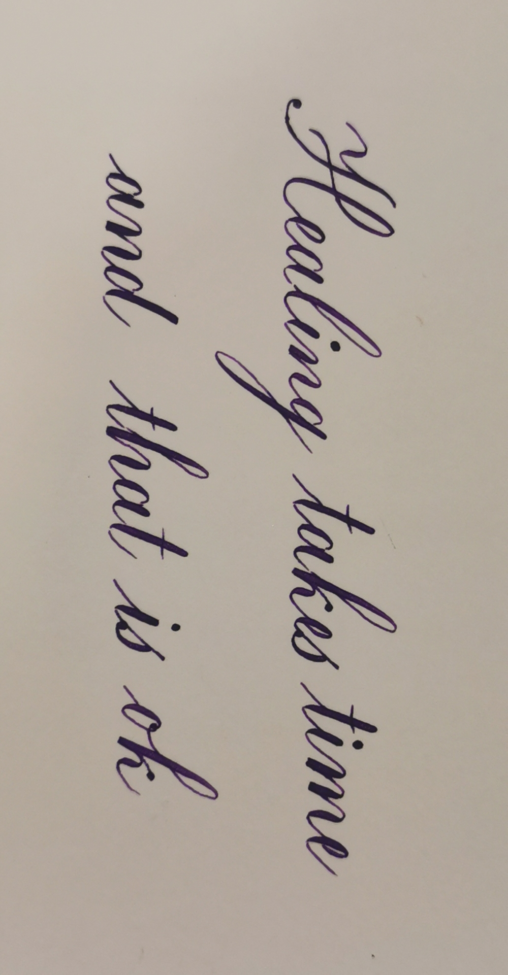 IMG_20211129_171823_edit_438805414906479