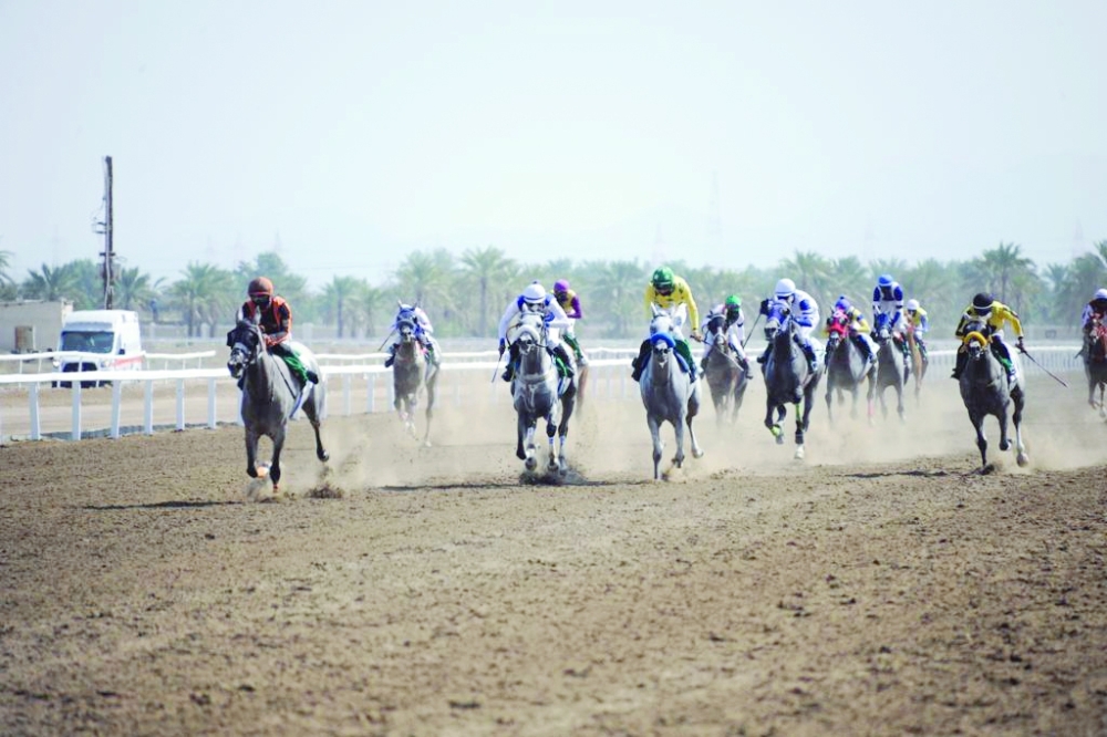 Royal Horse Racing Club to Organize Oman Derby Cup This Saturday