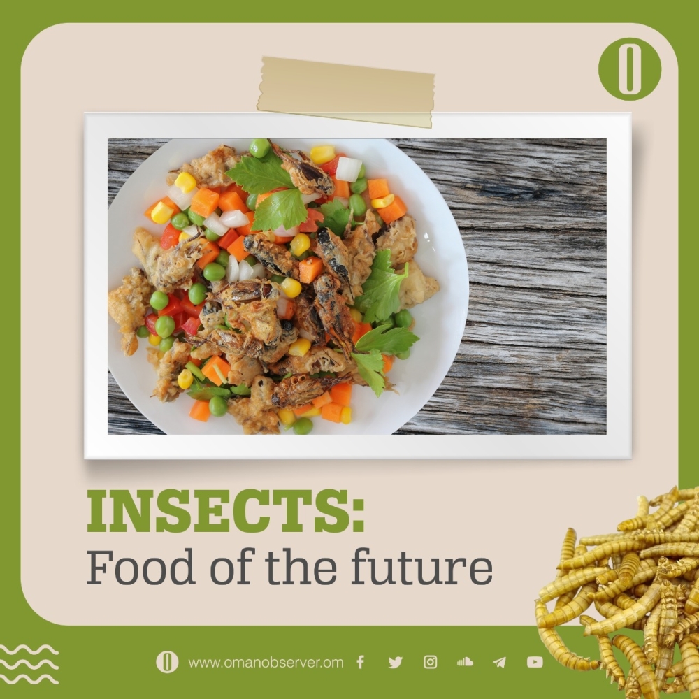 WhatsApp Image 2021-12-28 at 2.39.15 PM