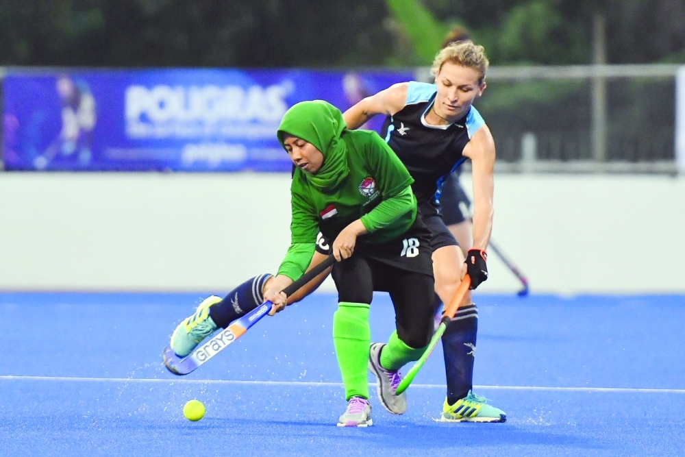 hock3