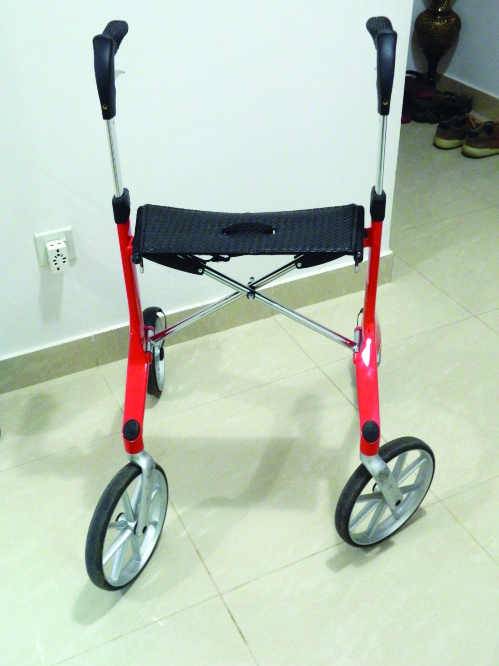 Stroller used by Elly Hollemans (2)