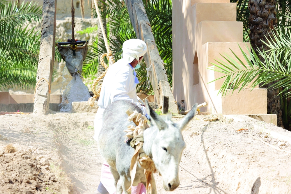 photo by Sami al Hinai