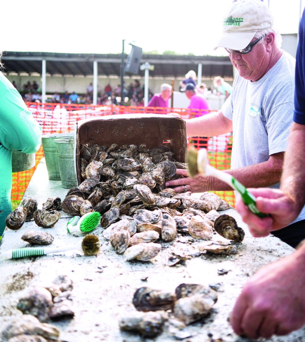 A scene from the 55th annualSt. Marys County Oyster Festival and National Shucking Competitionin Leonardtown, Md.,Oct. 16, 2021. (Shan Wallace/The New York Times)