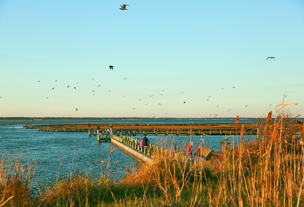 A view from Mariners Point on Chincoteague Island, Va., Nov. 1, 2021. (Kristen Zeis/The New York Times)