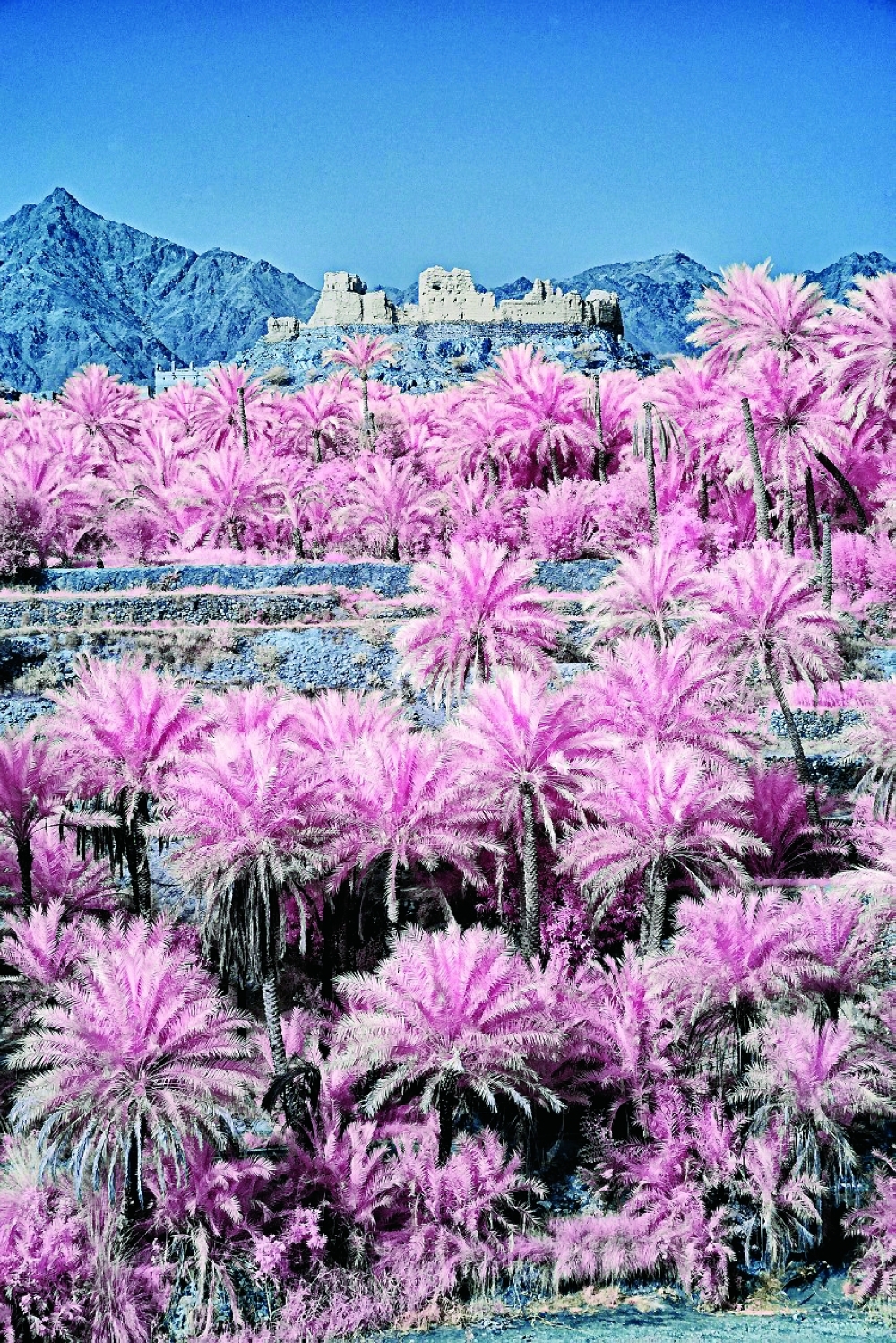 Al-Hoqain in Infrared