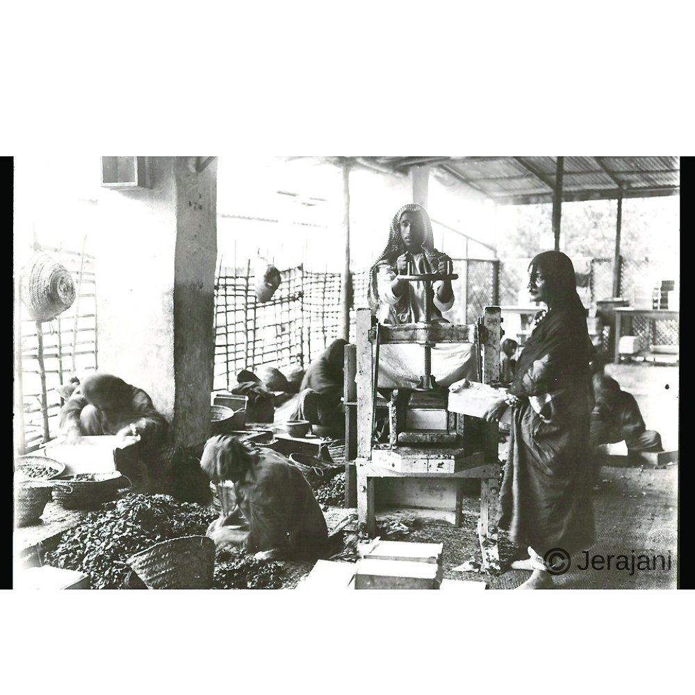 sorting dates at the date factory - Jerajani