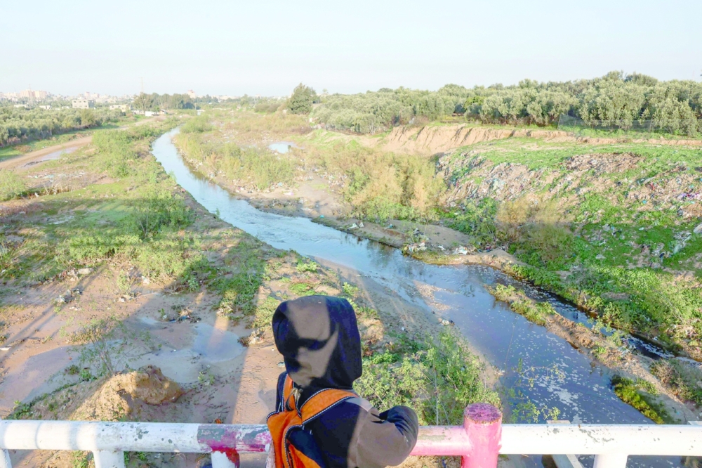 A view of Wadi Gaza, a wetland area in the central Gaza Strip. — AFP