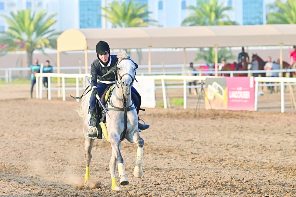 tent pegging Shield3