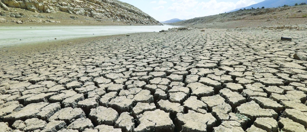 Climate change impacts