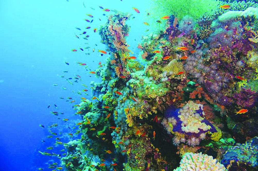 9f30ed5ba6d213f794a951fbe911d03a