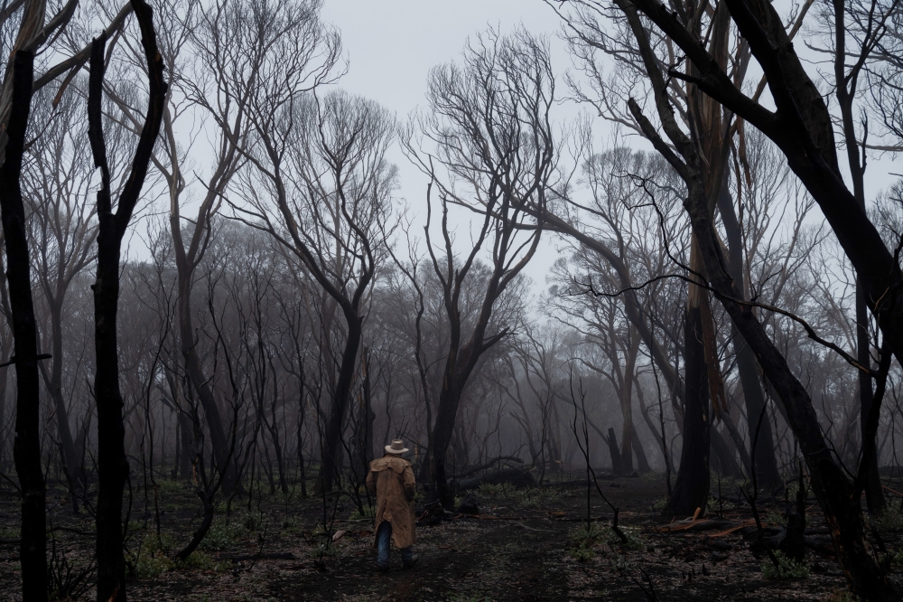 An area burned by wildfire at Alpine National Park in Australia