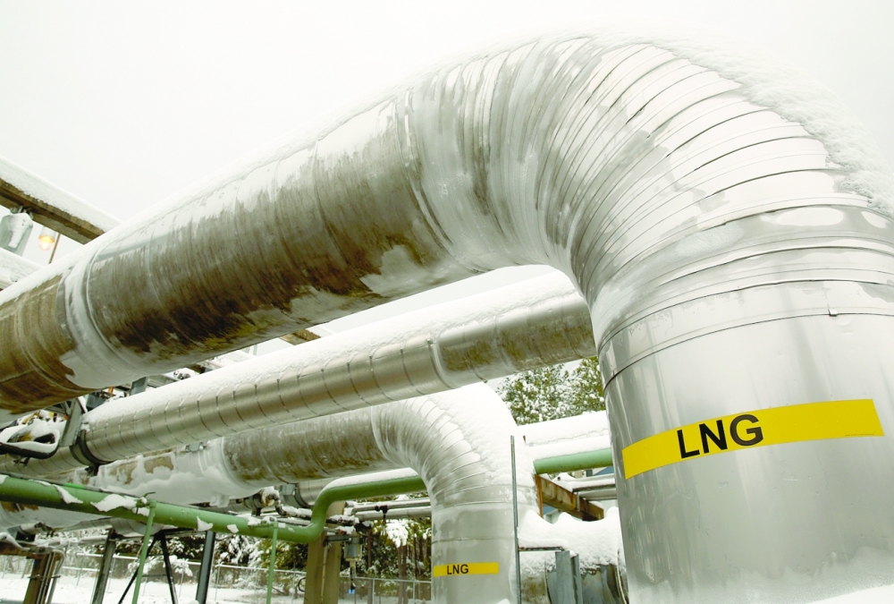 FILE PHOTO: Snow covered transfer lines are seen at the Dominion Cove Point Liquefied Natural Gas terminal in Maryland