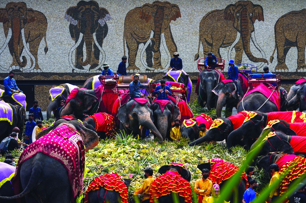 Elephants enjoy a 'buffet' of fruit and vegetables during Thailand's National Elephant Day celebration at Nong Nooch Tropical Garden in Pattaya. - Reuters
