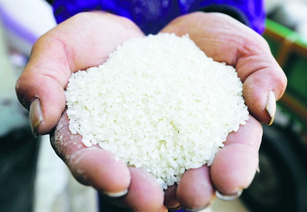 A farmer shows rice grains after harvesting them from a field in the province of Al Sharkia, northeast of Cairo, Egypt. - Reuters file photo
