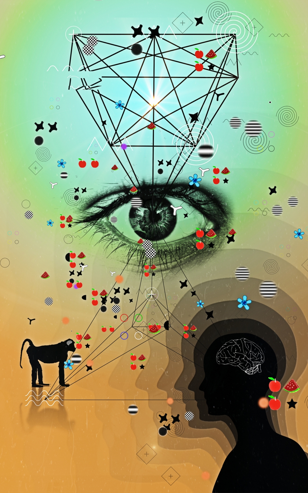 Neuroscientists are exploring whether shapes like squares and rectangles  and our ability to recognize them  are part of what makes our species special. (Yoshi Sodeoka/The New York Times)