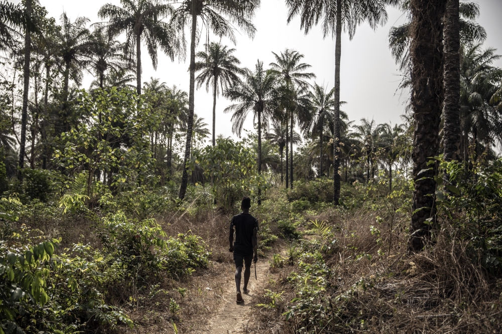 A path leading to the community graveyard in Mabin, Sierra Leone, on Feb. 19, 2022. Many Sierra Leoneans who die are laid to rest in small village burial grounds and not included in official records.  (Finbarr O'Reilly/The New York Times)