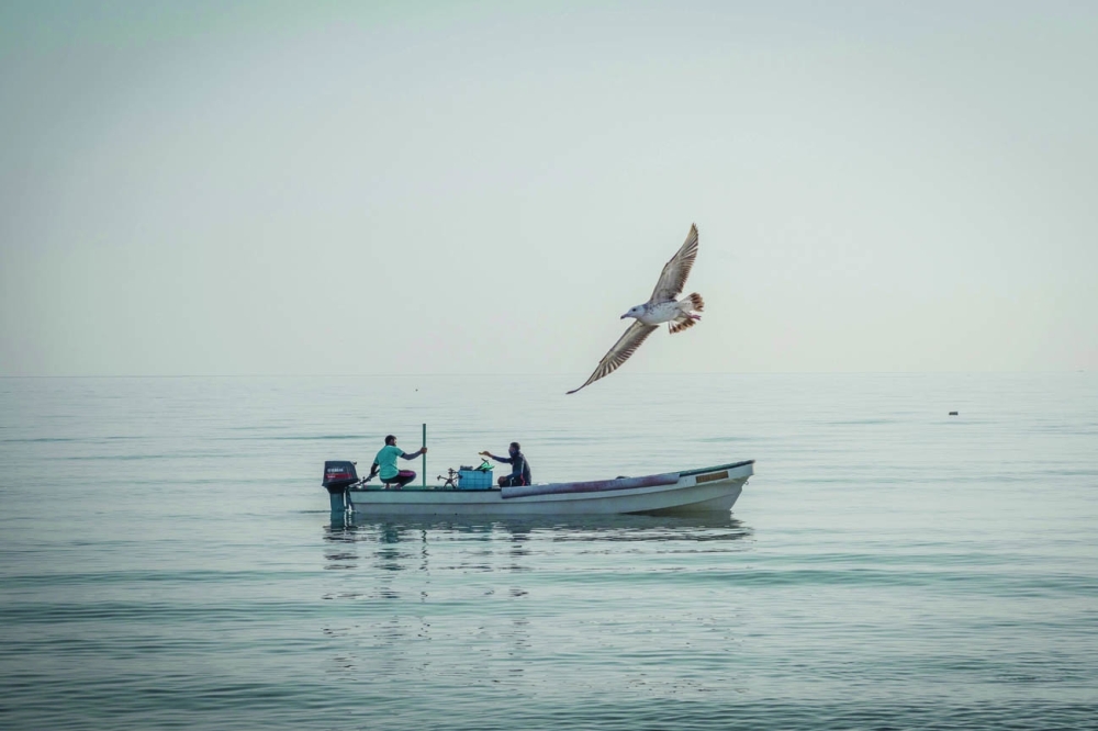 Al Bustan Beach - A bird and boat