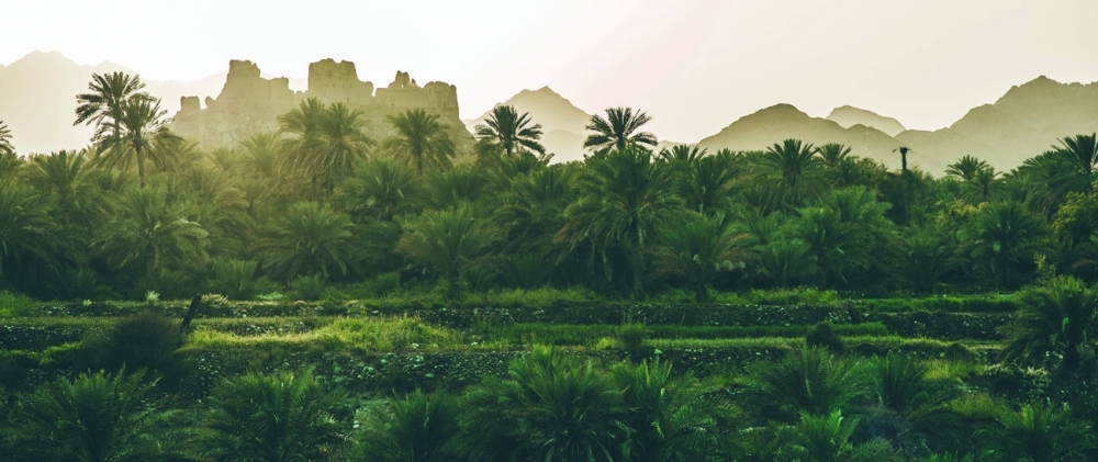 Wadi Hoqain Ruins -Long View