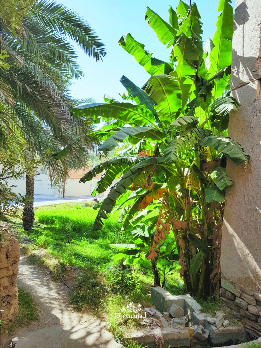Al Sibani village (15)