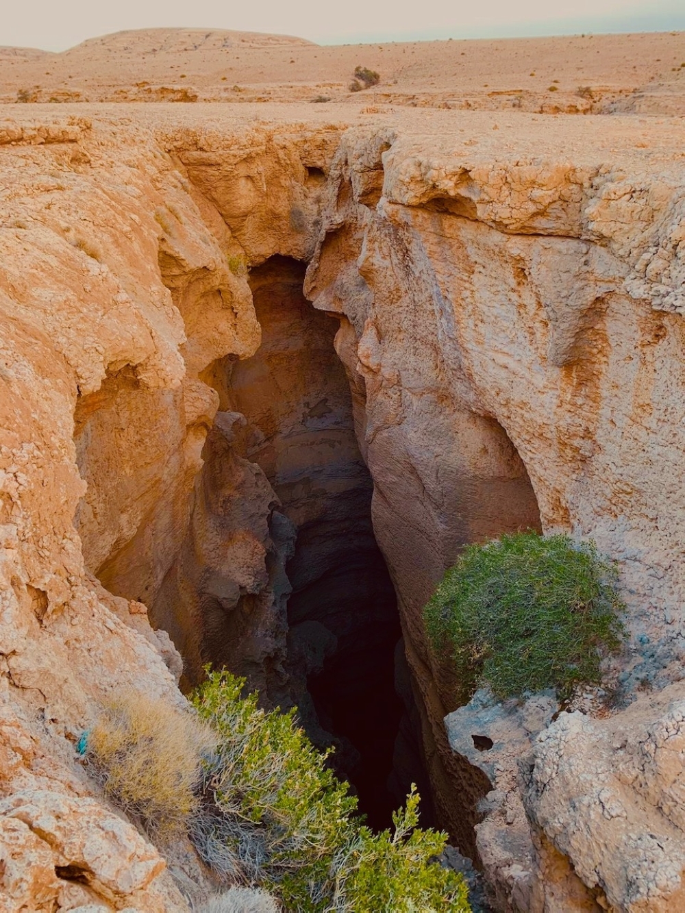 f430b287-6329-4058-8c4c-d6268ef1c9cd