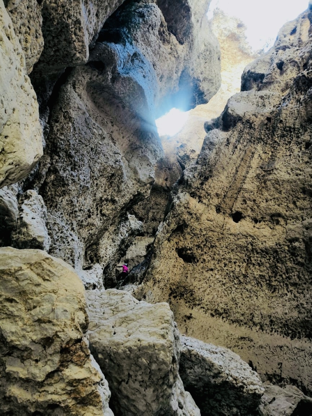 938f71e0-25fa-4d3e-9a97-1fd24379020d