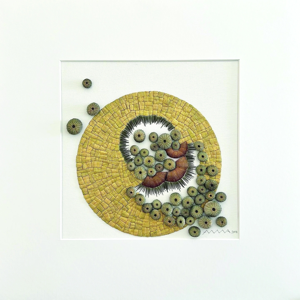 1DE9F1D9-67AA-4850-A056-FF87DA619671