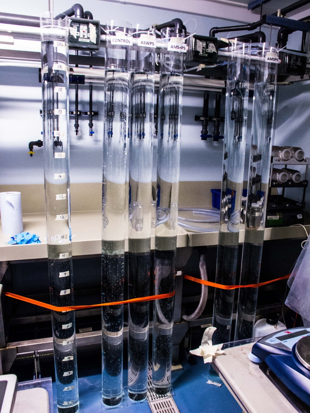 Tubes of marine snow in the lab of Adam Porter at the University of Exeter in England. (Adam Porter via The New York Times)