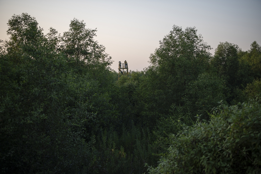 An observation tower run bythe Lakshmishree Self Help Group, an environmental protection detail made up of women that hopes to draw bird-watchers and other tourists to the area, in Lakshmipur, India, March 8, 2022. (Saumya Khandelwal/The New York Times)