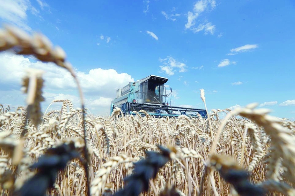 A combine harvests wheat in a field near the village of Hrebeni in Kyiv region, Ukraine. — Reuters