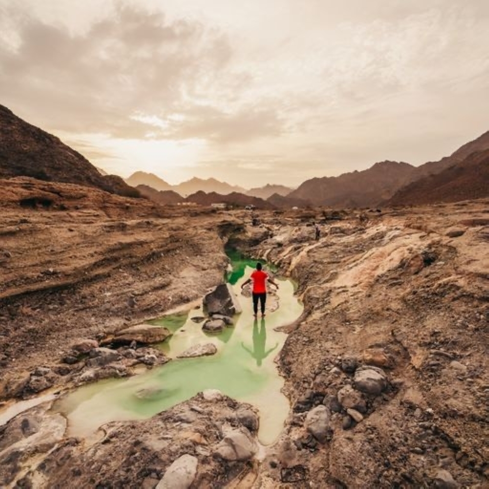 Abdulmajeed Al Shuaibi