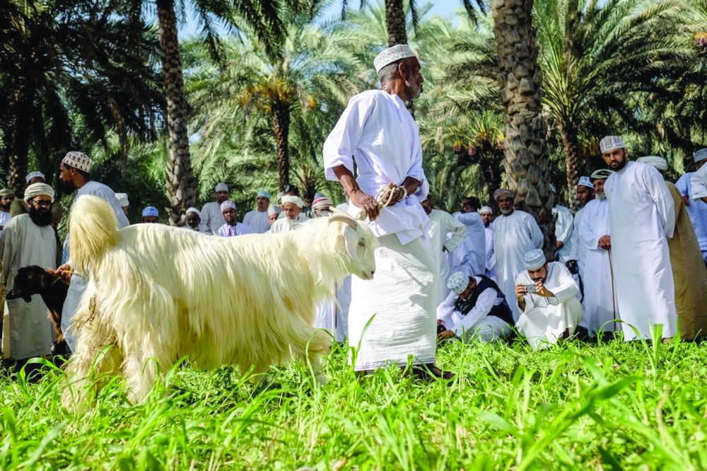 Faisal al Balushi 18