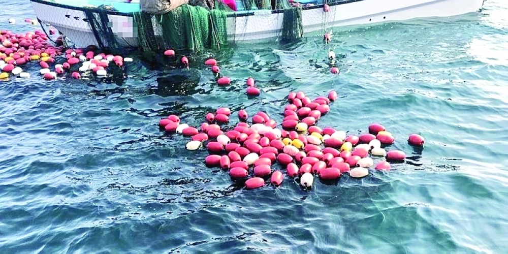 242 violations of the Fishing Law