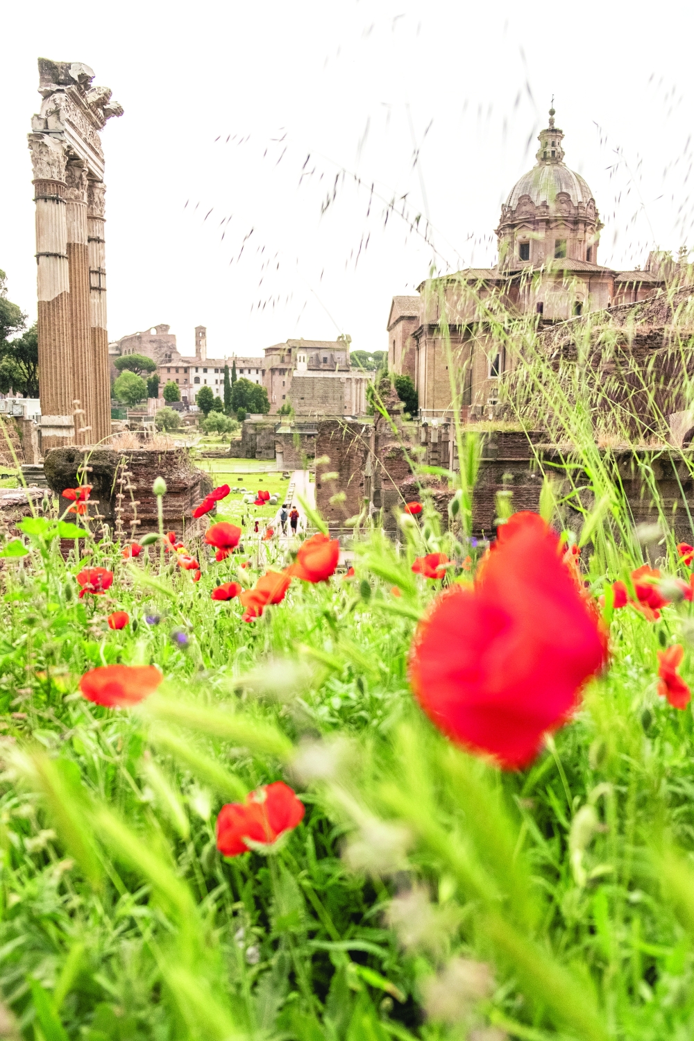 The Roman Forum, in Rome, May 6, 2022. (Francesco Lastrucci/The New York Times)