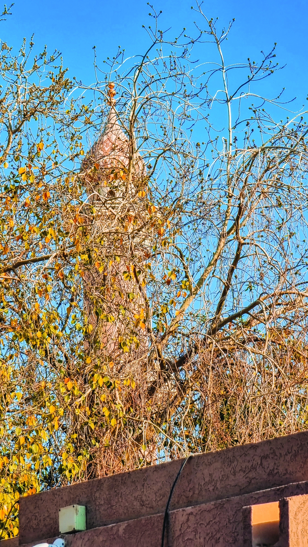 20220427_073921