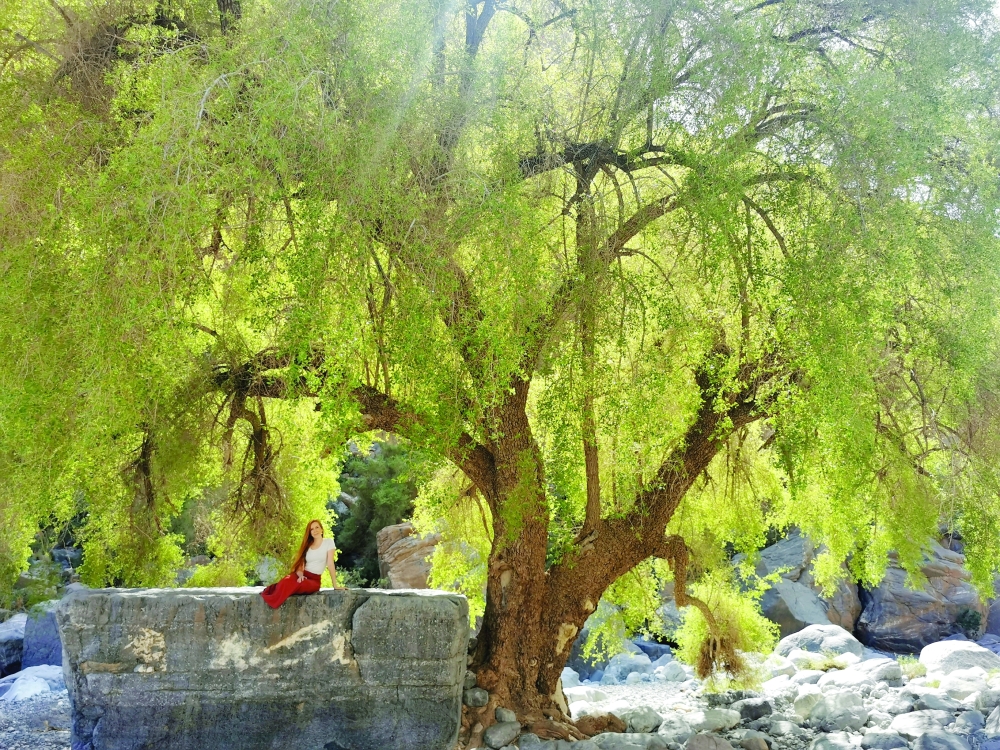 Sabine Reining enjoys the village interior