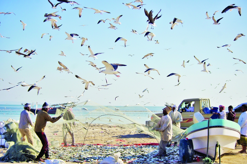 Omani fishermen at the sea