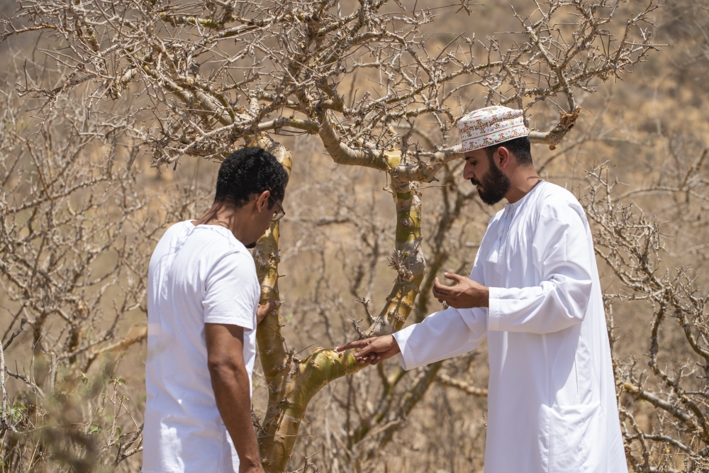 Alila-Hinu-Bay-Destination-Frankincense