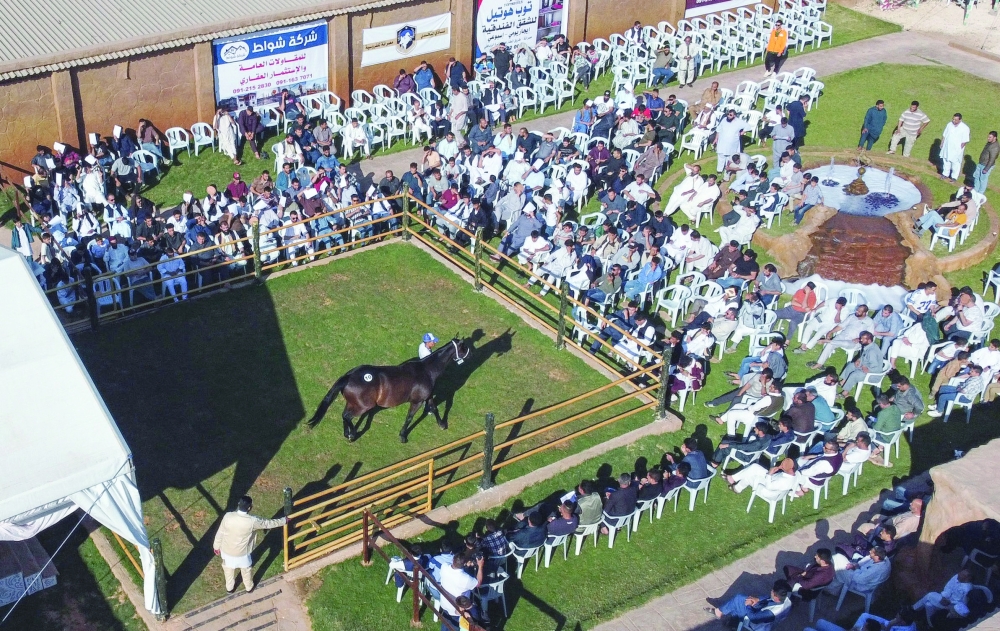 This aerial view shows visitors at an auction of Arabian horses held in the city of Misrata. — AFP
