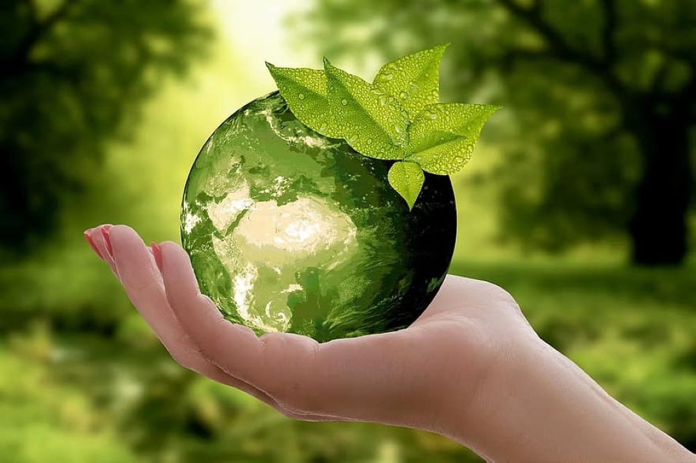 nature-earth-sustainability-leaf-caution-cycle-green-ecology-globe
