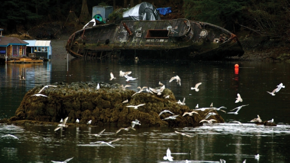 shipwreck-5552609_1920