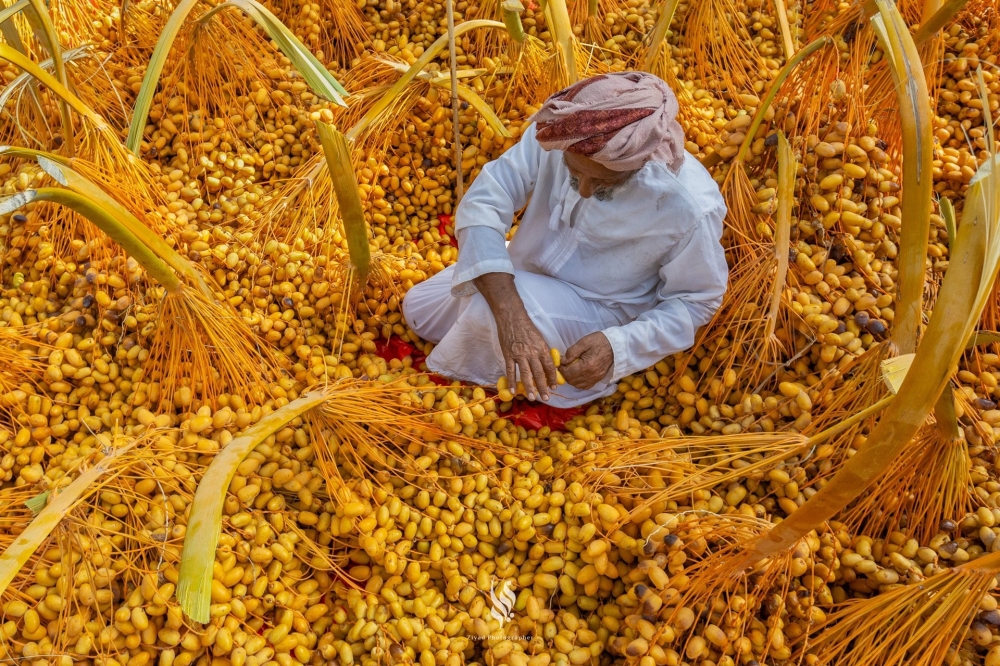 New research vindicates Oman’s foray into global alternative foods