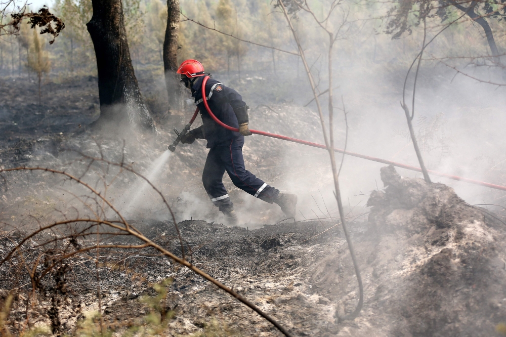 A firefighter works to extinguish a forest fire in Louchats, western France, on Tuesday. — AFP