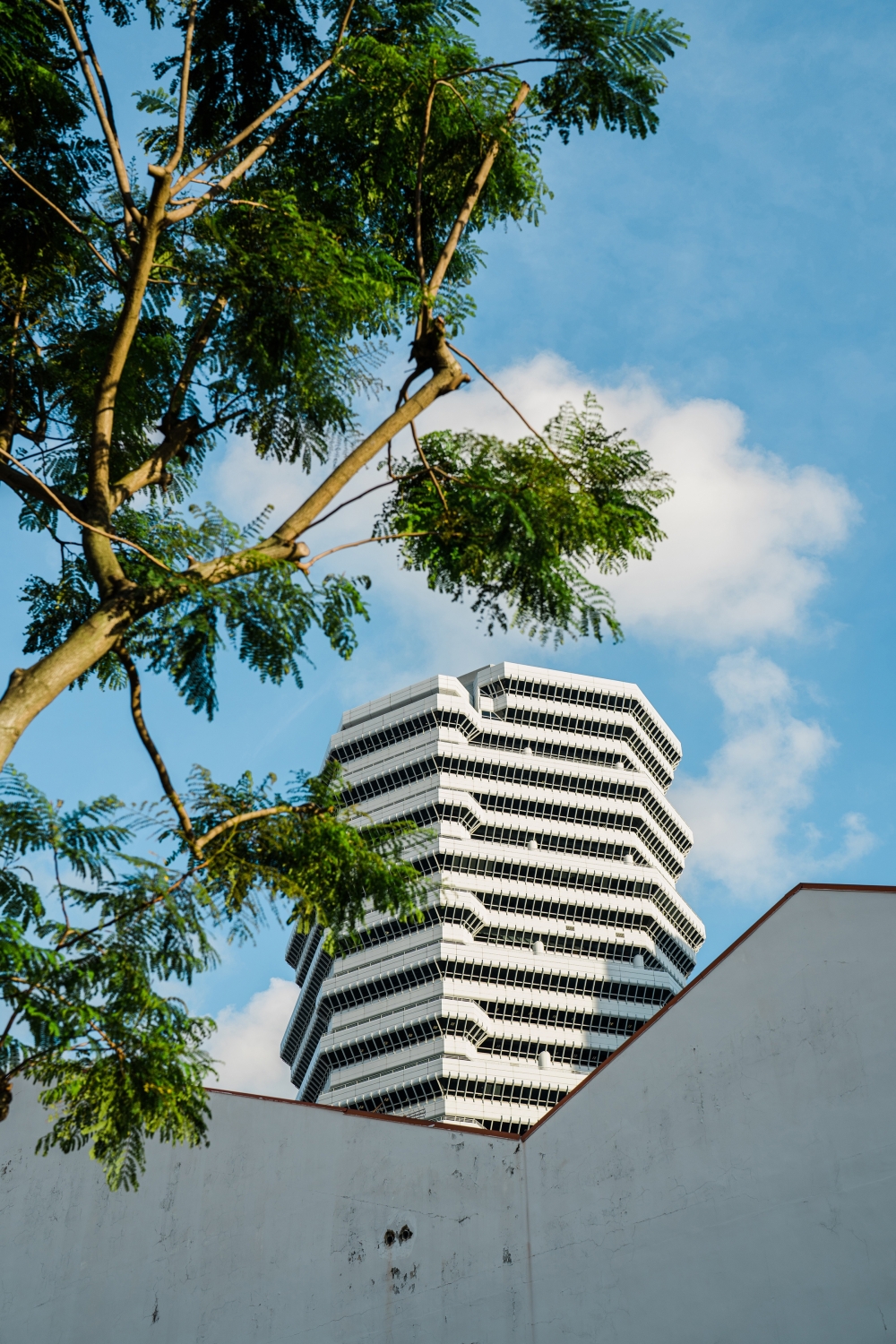 Trees with canopies offer shade in Singapore, which has pledged to plant 1 million trees by 2030, Dec. 16, 2021. (Gabriela Bhaskar/The New York Times)