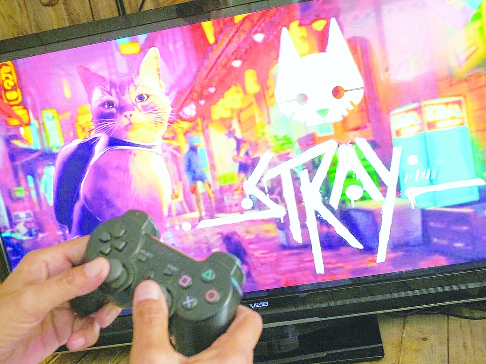US-ENTERTAINMENT-GAME-STRAY